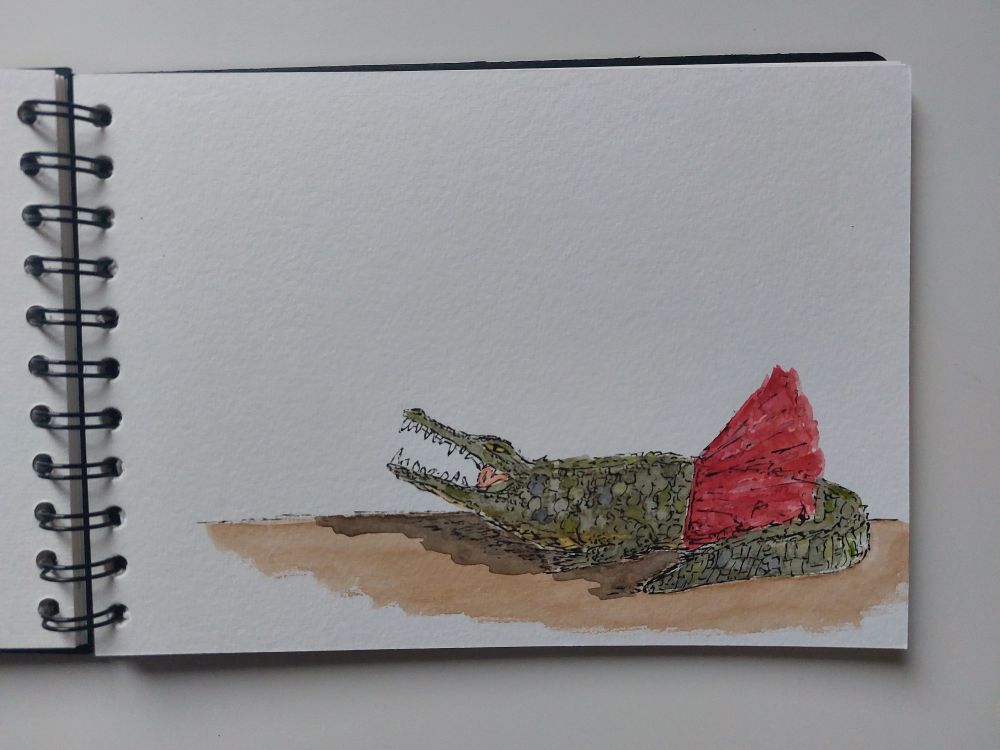 A watercolour of a crocodile wearing a tutu. He is taking a ballet class; one of his resolutions is to get fitter. 