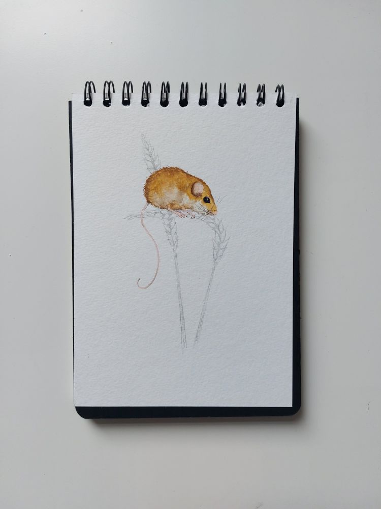 A watercolour mouse on pencil wheat