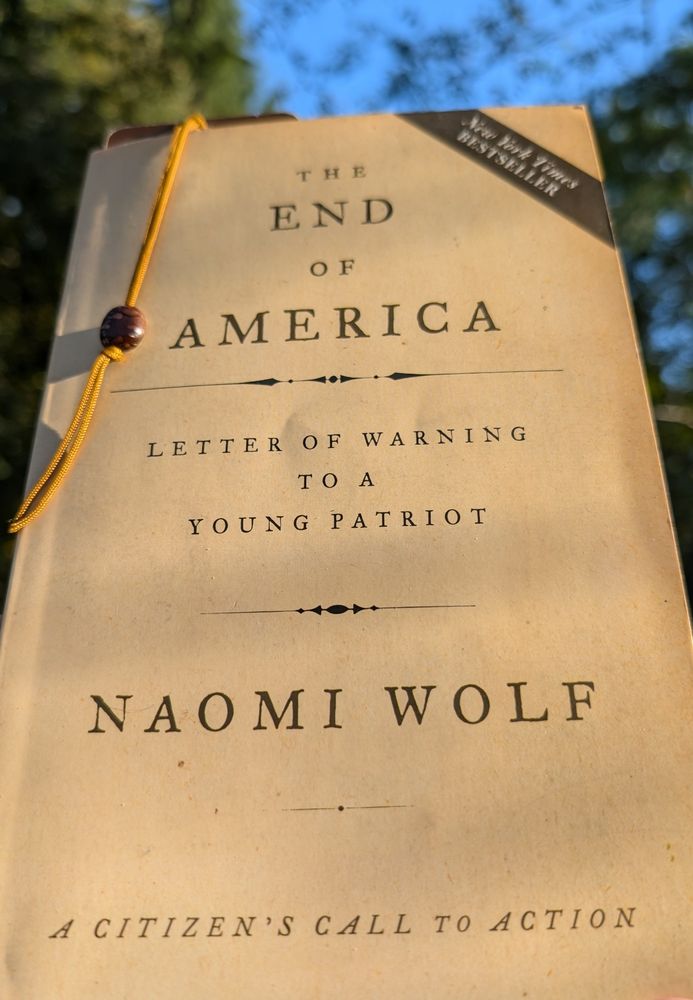 The End Of America by Naomi Wolf