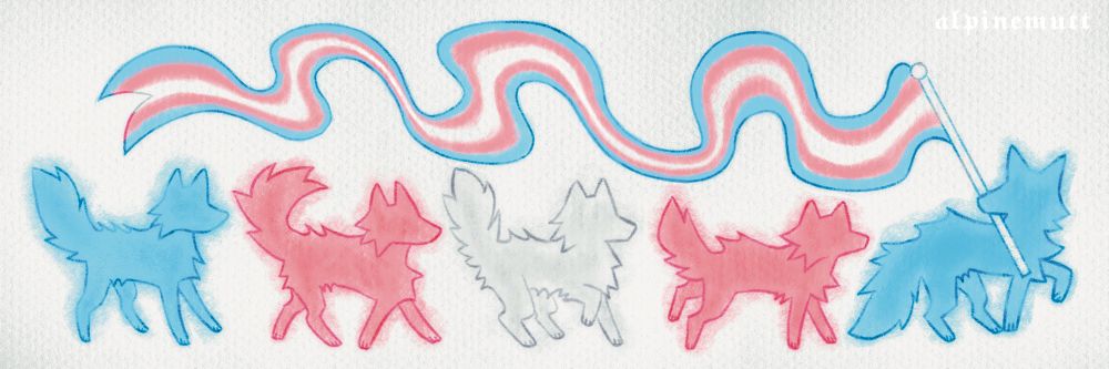 5 dogs walking in a row. they are individually colored blue, pink, and white to make up the trans flag all together. the rightmost dog is carrying a long trans flag that flows all the way to the last dog on the left. The background is white with a paper texture.