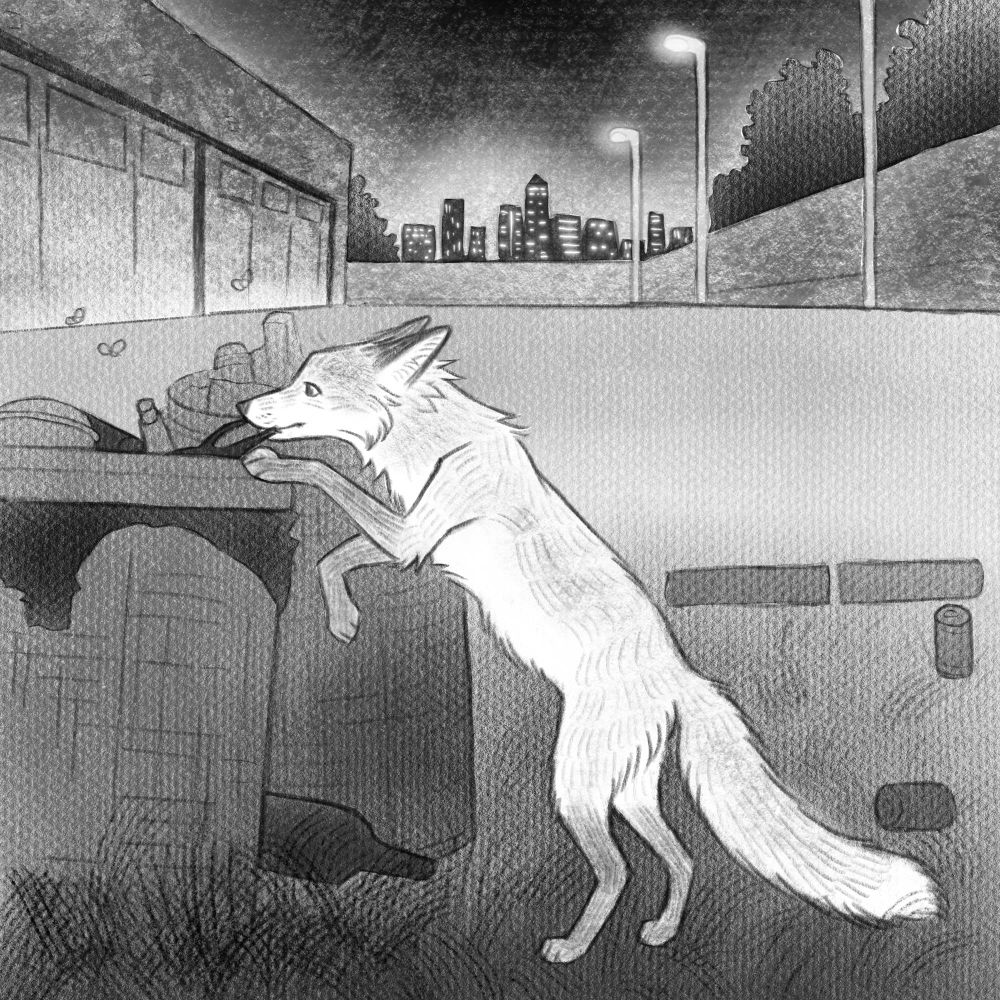 A lone fox scavenges through a garbage bin in a dim parking lot under streetlights. A city skyline is silhouetted in the starry night.