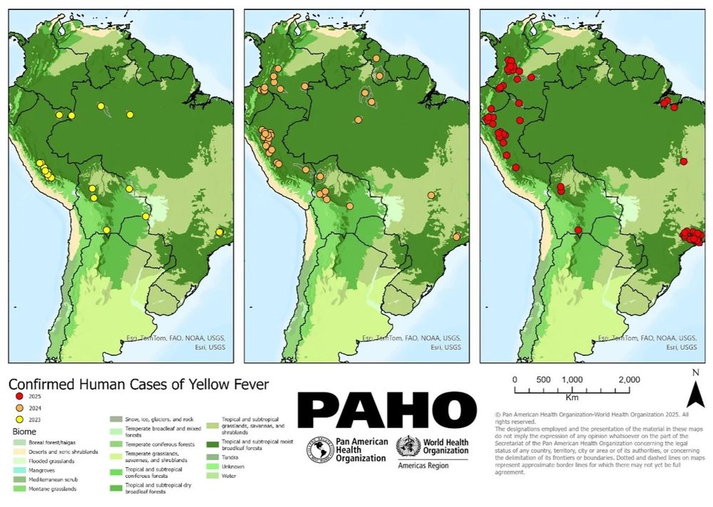 Three maps showing geographical distribution of confirmed human cases of yellow fever by year, Region of the Americas, 2023-2025, as of 26 April 2025.