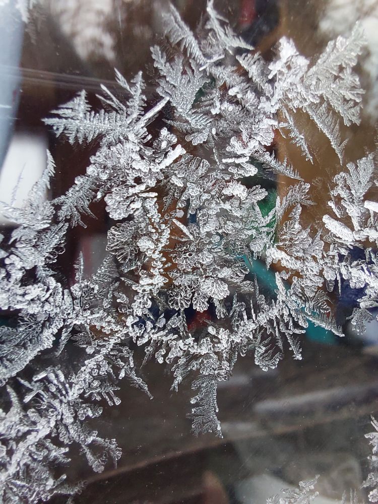 Eisblumen auf einer Fensterscheibe