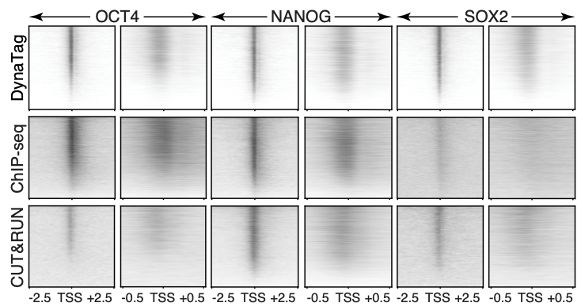 Fig.1f from https://www.nature.com/articles/s41467-025-61797-9 