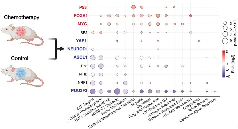 Adapted from Fig. 4 --> https://www.nature.com/articles/s41467-025-61797-9