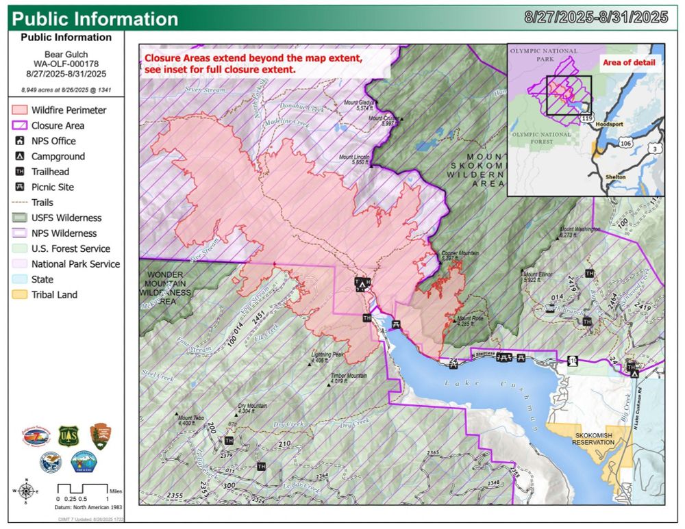 A public information wildfire map showing the Bear Gulch Fire closure area in the Olympic National Forest near Lake Cushman, Washington, dated August 27–31, 2025. The map highlights the wildfire perimeter in red, closure areas in pink, wilderness zones, trails, campgrounds, and nearby landmarks including Mount Skokomish Wilderness, Lake Cushman, and the Skokomish Reservation.
