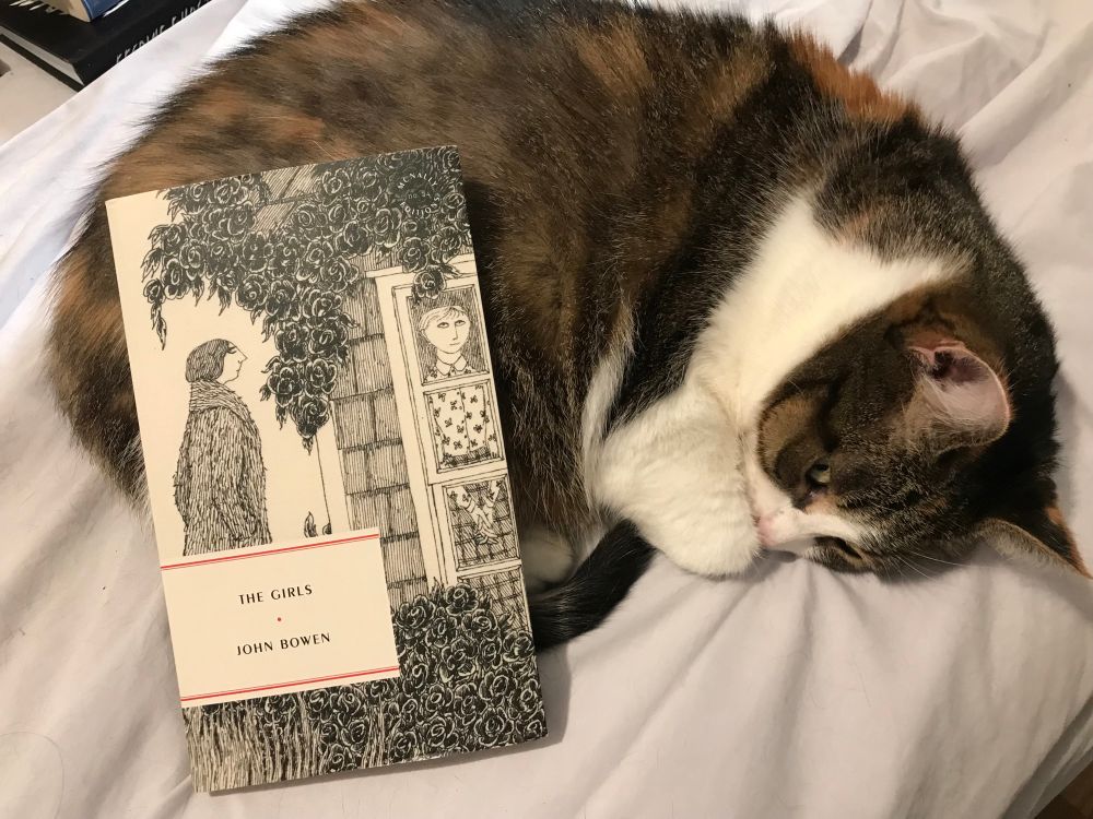The Girls by John Bowen + a cat 