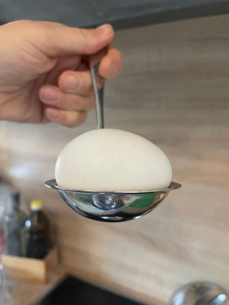 We see the egg and ladle from the side now, proudly held up by a hand whose owner stopped getting gel manicures not that long ago and is in the middle of growing out the damage. We sense the photographer’s satisfaction at the two objects fitting together perfectly from this second angle as well, as if made for each other. Soon, the ladle will be in the dishwasher and the egg will be cracked and eaten, this moment but a pleasant memory. But for now, all is right with the world.