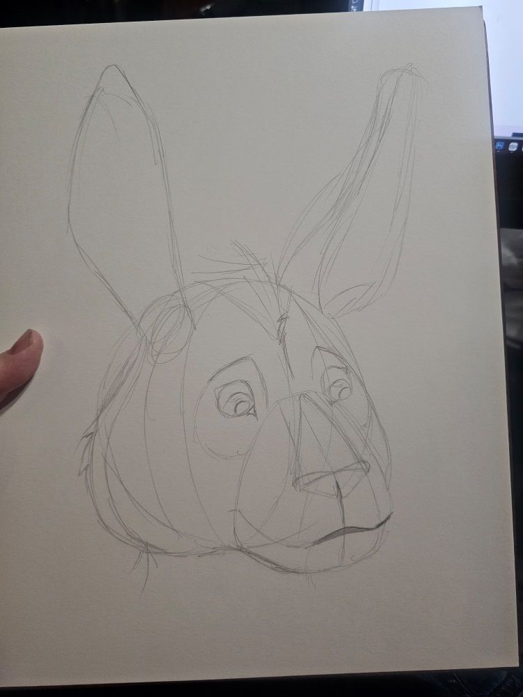 Rough sketches of a panda face, but with donkey ears.