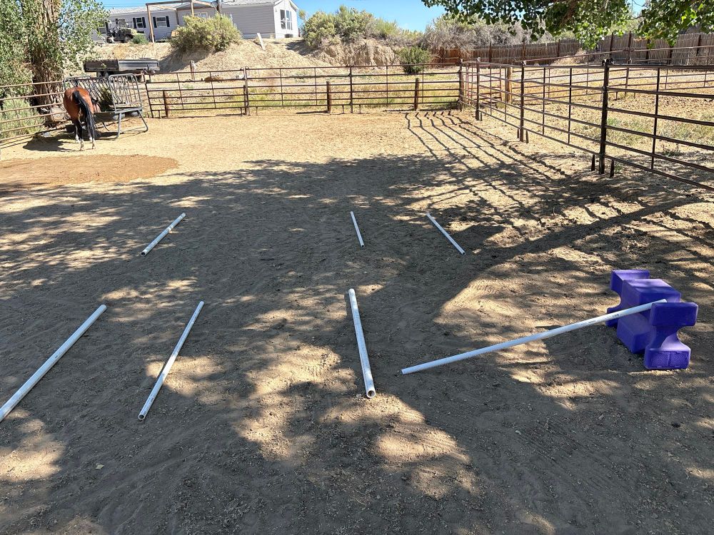 Poles and a jump in the same layout as loss.jpeg