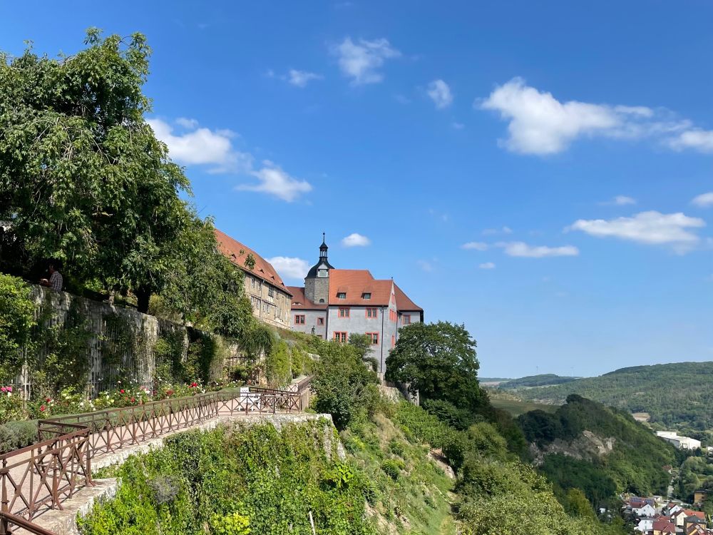 Schloss über Weinberg 