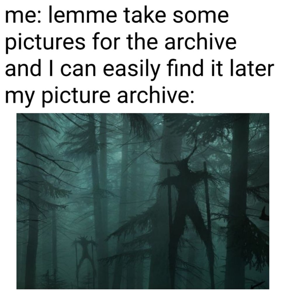 meme with the caption "me: lemme take some pictures for the archive and I can easily find it later. 
my picture archive:" the photo underneath is of a spooky forest with eldritch horror entities on stilts