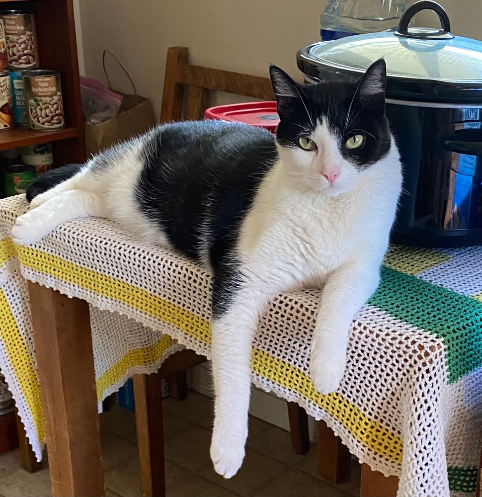 Ok my Tobi’s jealous. He demands a knighthood 