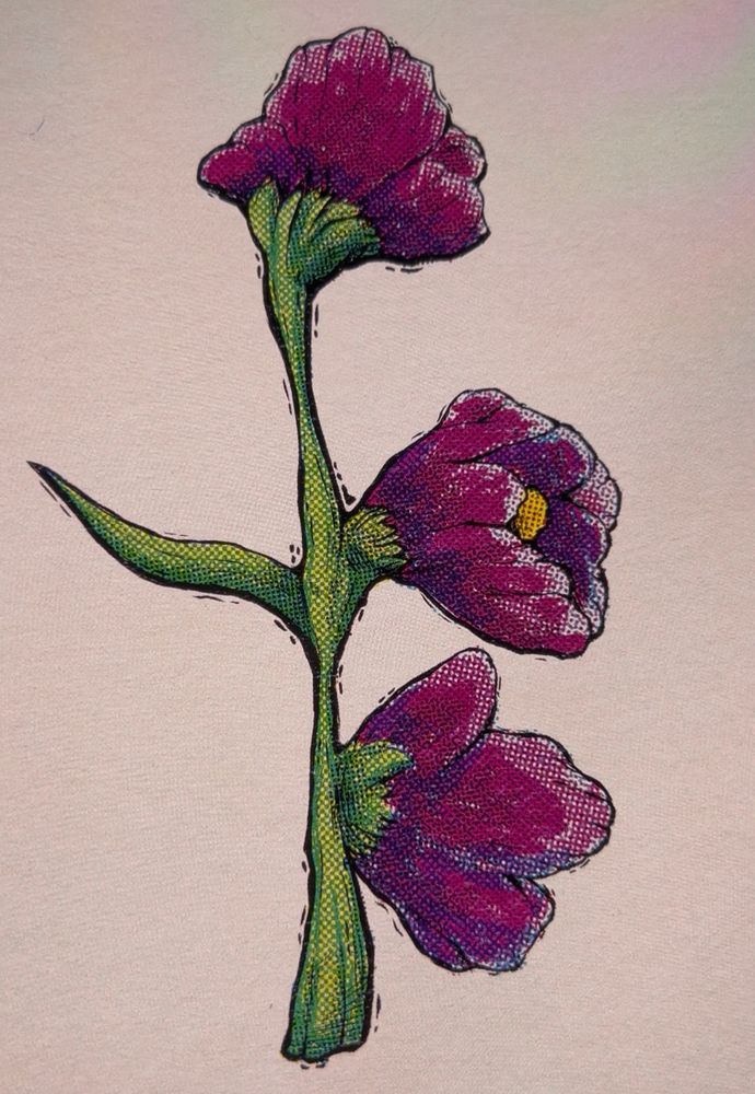 A digital drawing of a flower stem with one leaf and three pink/magenta flowers