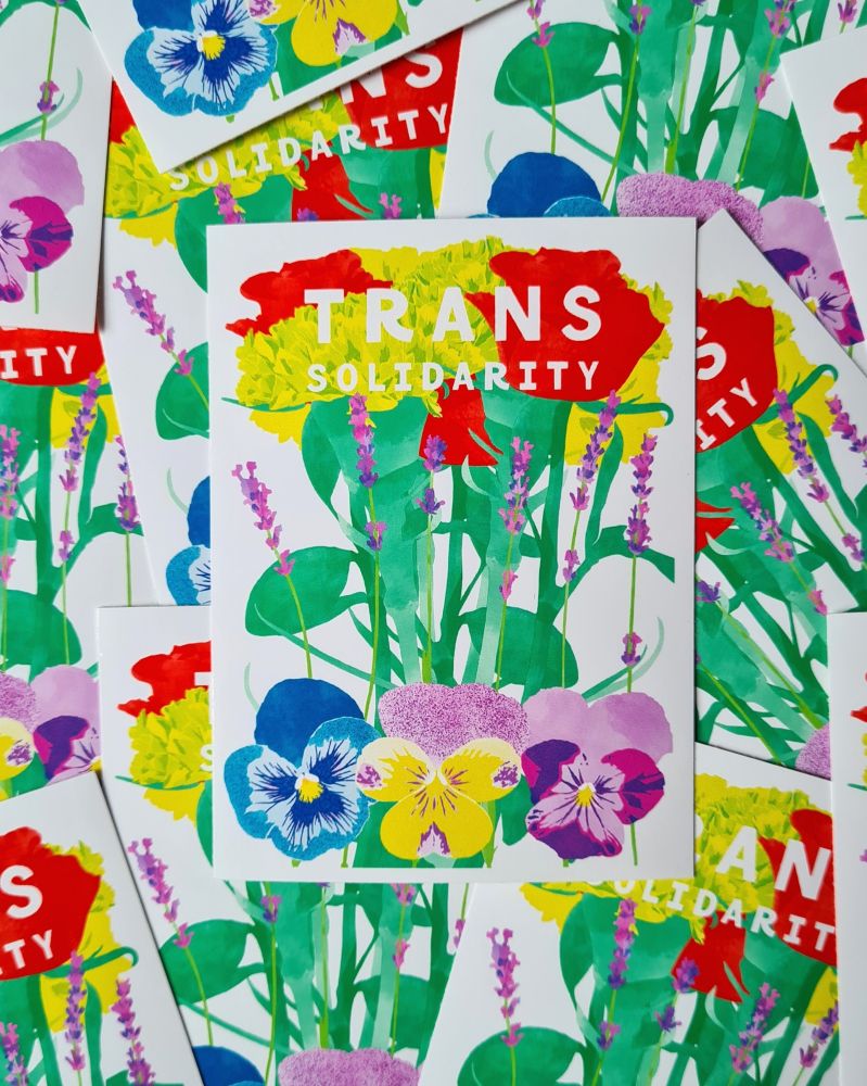 A pile of the same sticker. It features some flowers that symbolise queer identities, pansies at the bottom, lavander in the middle and carnations and roses at the top. The top flowers are broken by white text that reads TRANS SOLIDARITY. The background is also white. 