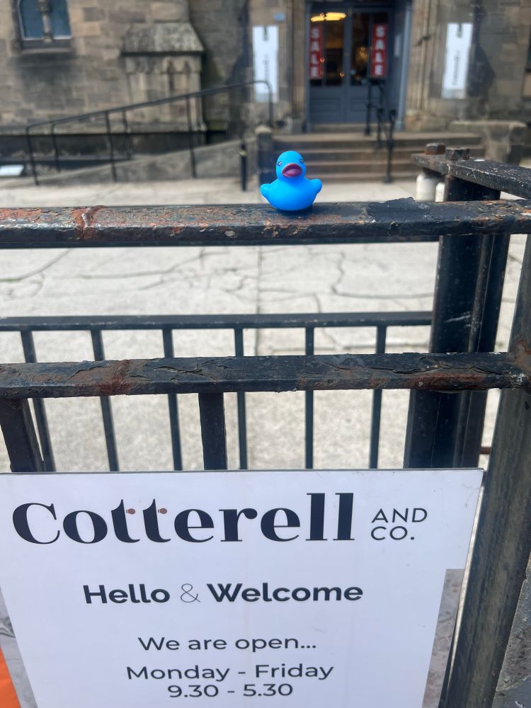 The duck I took has been placed outside cotterell lighting on causewayside