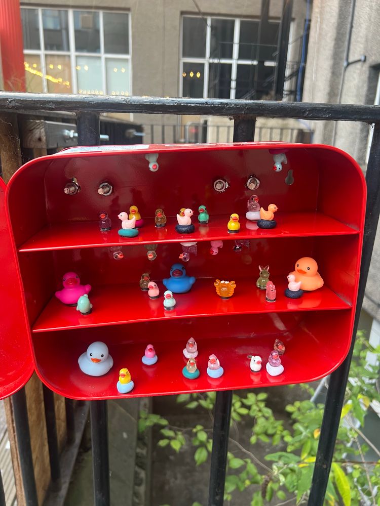 Inside of the library. There are shelves with ducks of all sizes on