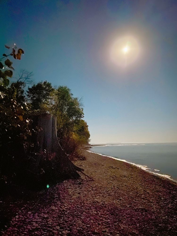 The treeline meets an empty, pebbly beach on Lake Ontario. The water is very still and above the moon looks almost as big and bright as the sun.