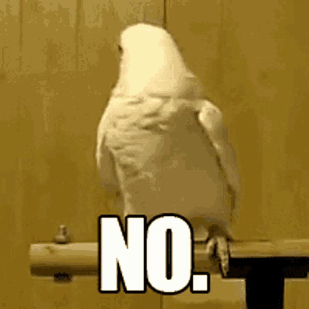 a white parrot is sitting on a wooden perch with the word no written on it