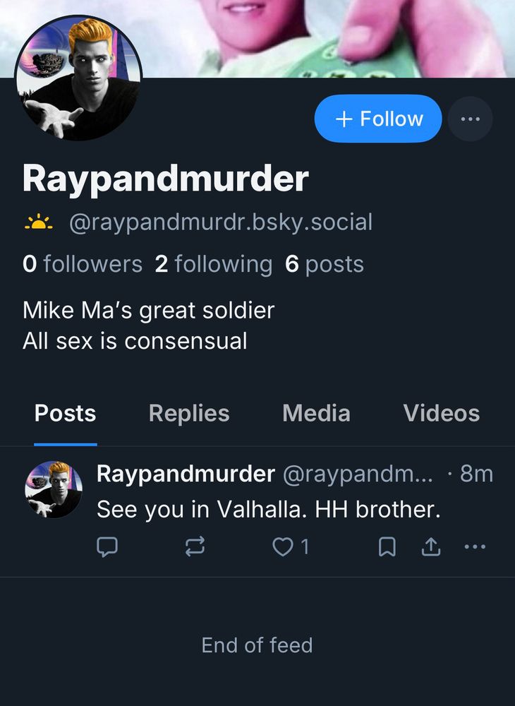 Account of neo nazi called "raypandmurder.bsky.social"