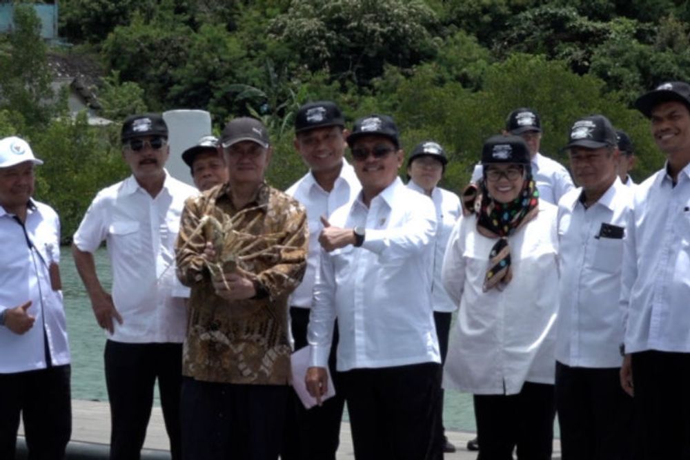 Menteri KKP resmikan kawasan percontohan budi daya lobster di Batam - ANTARA News