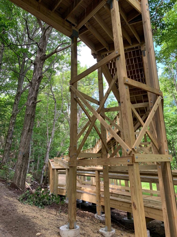 The structure of a wooden boardwalk in the forest with a large ramp. 