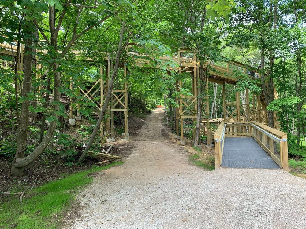 A wooden boardwalk through the forest with a path underneath. 