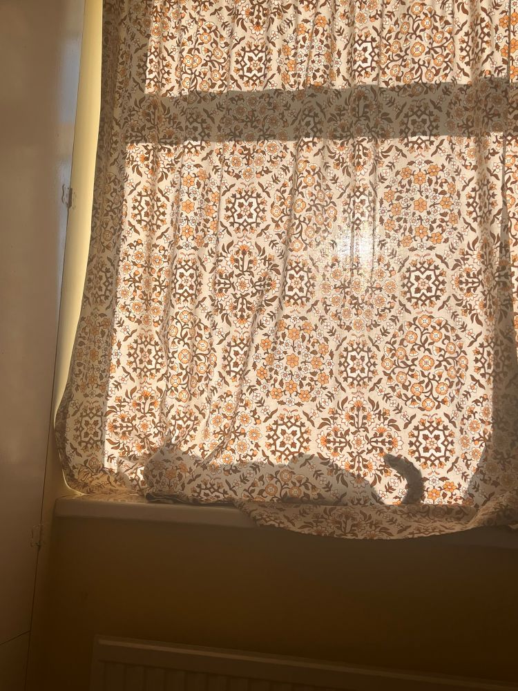 Silhouette of a cat sleeping on a windowsill behind a curtain. 