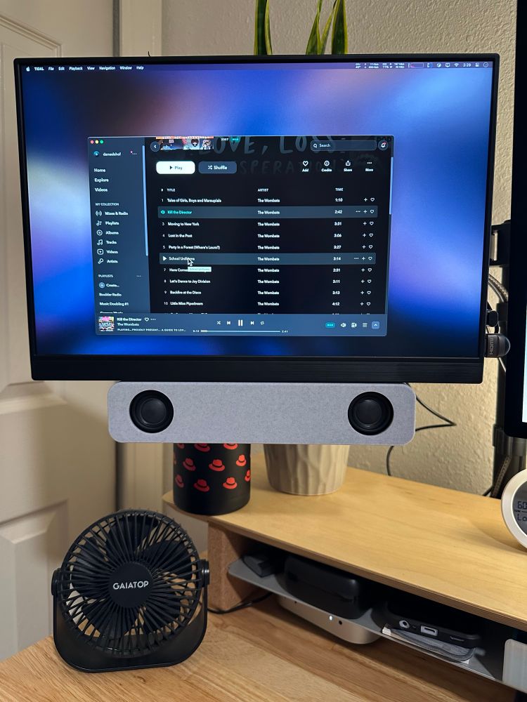 A 16" LCD monitor mounted on an arm with a 3D printed soundbar attached to the lower front edge. Visible are a wooden desktop, desktop fan, Mac Mini, a Red Hat branded water bottle and various desk accessories. 