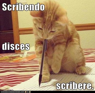 tiny kitten holds pen in mouth while trying to write on paper. 
Text: SCRIBENDO DISCES SCRIBERE.
by writing, you will learn how to write.