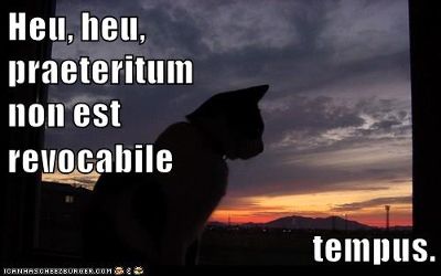 cat sits in window watching the sunset; it is almost dark. text: Heu, heu, praeteritum non est revocabile tempus.
Alas, alas, past time is not able to be called back.