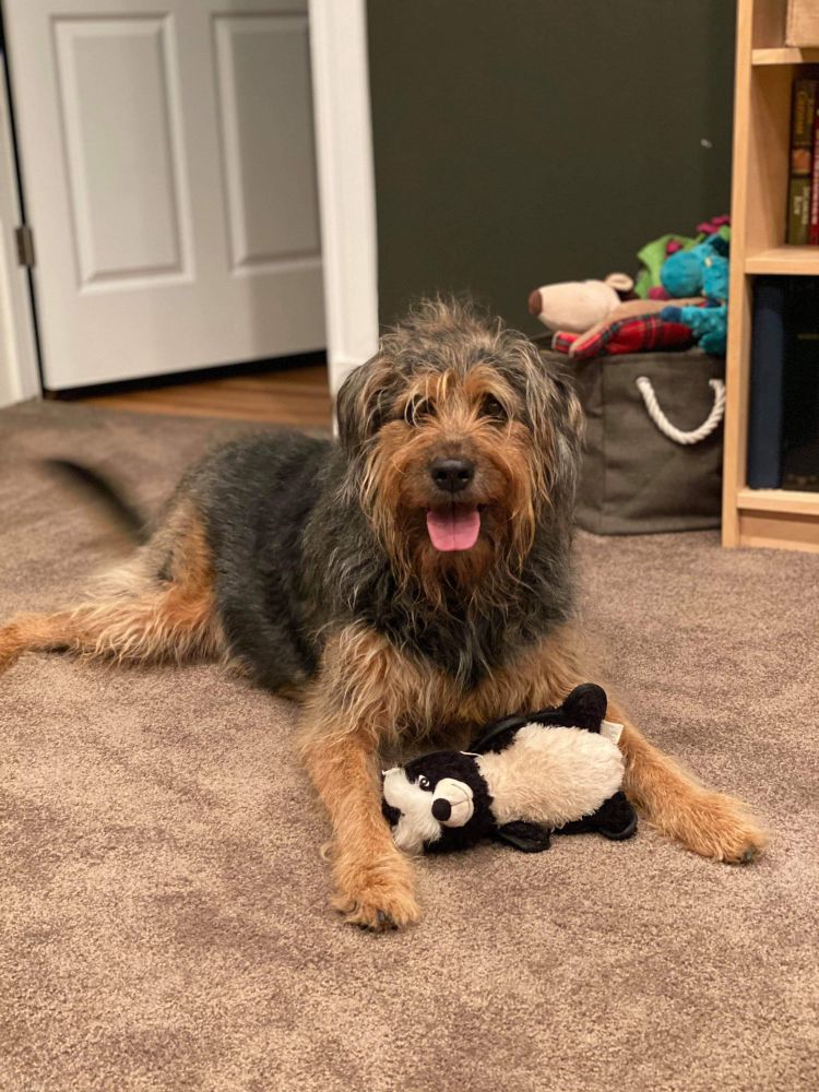 Moose. She was part Chewbacca. 