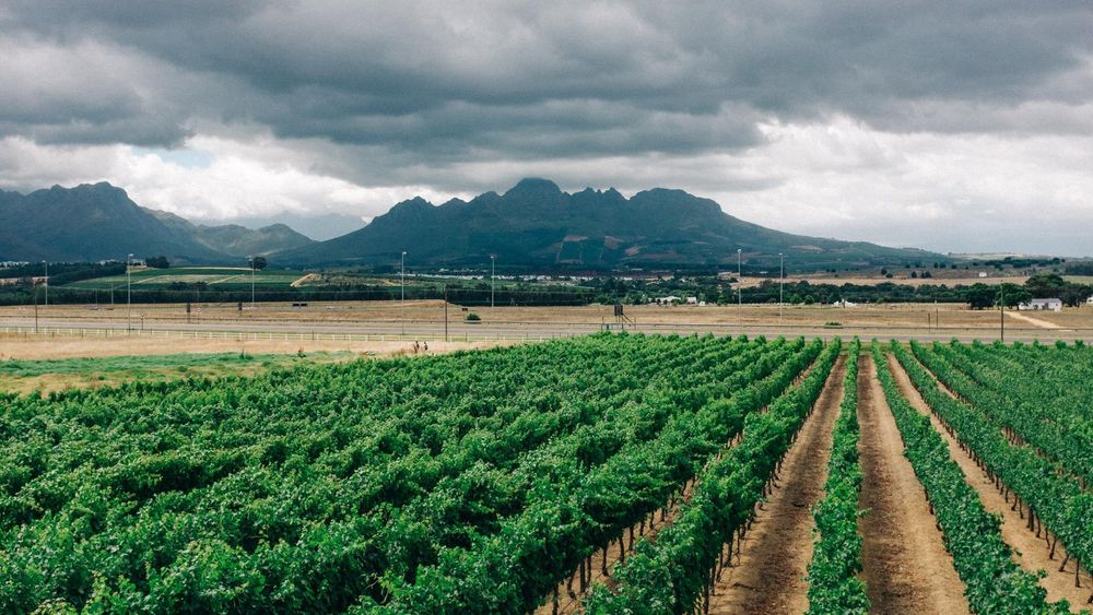 Institute for Poverty, Land and Agrarian Studies: "For our first BlueSky post, it is appropriate that we begin with South Africa's newly signed Expropriation Act. South Africa's President Cyril Ramaphosa has today signed into law the Expropriation Bill, which repeals the pre-democratic Expropriation Act of 1975. However... #ExpropriationBill" — Bluesky