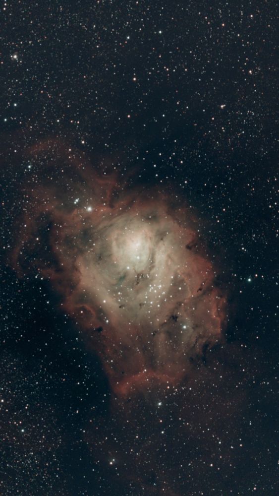 M8 or Lagoon nebula. 4,000 light years from Earth, it looks like the head of a horse that is on fire. The 'snout' is at the base of the nebula and has a red-orange bridge of dust. The 'eyes' are about halfway up the image and, at least, the left 'eye' is looking right at you! The forehead is a lighter orange colour with a set of stars in the middle of the 'forehead'. The rest of the head trails off into dust on the left hand side. The nebula is surrounded by many stars but there are about 20 stars featured prominently on the 'head'.