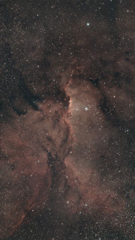 This is the Firebird nebula although you would have to use your imagination to see a bird in the image. This 'bird' appears to have a small head with two eyes near the centre of the image and then streaks of dark pink colour on the top of the 'wing' with a darker colour on the underside. The rest of the image consists of streams of light and dark coloured 'clouds' of dust that extends from, surrounds and reaches into the 'bird'. There are hundreds if not thousands of stars in the image looking, for the most part like tiny pinpricks of light.