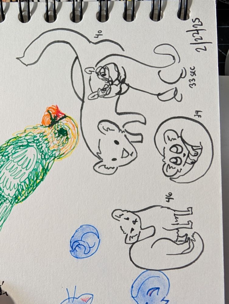 Line art ferrets with numbers next to them, a scribbly bird drawing, and the date 2/22/25