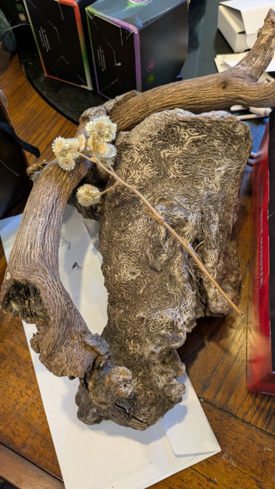 Pieces of wood with swirling and flowing lines along the bark. 