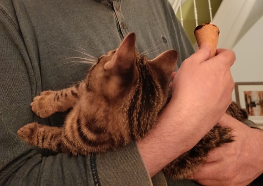 Lost mr f to the new cat