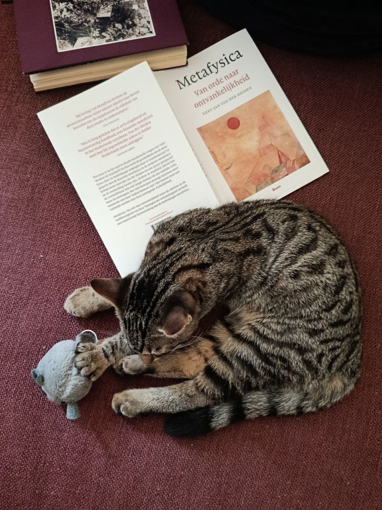 Cattus sleeping & gj vd Heiden metafysica book
