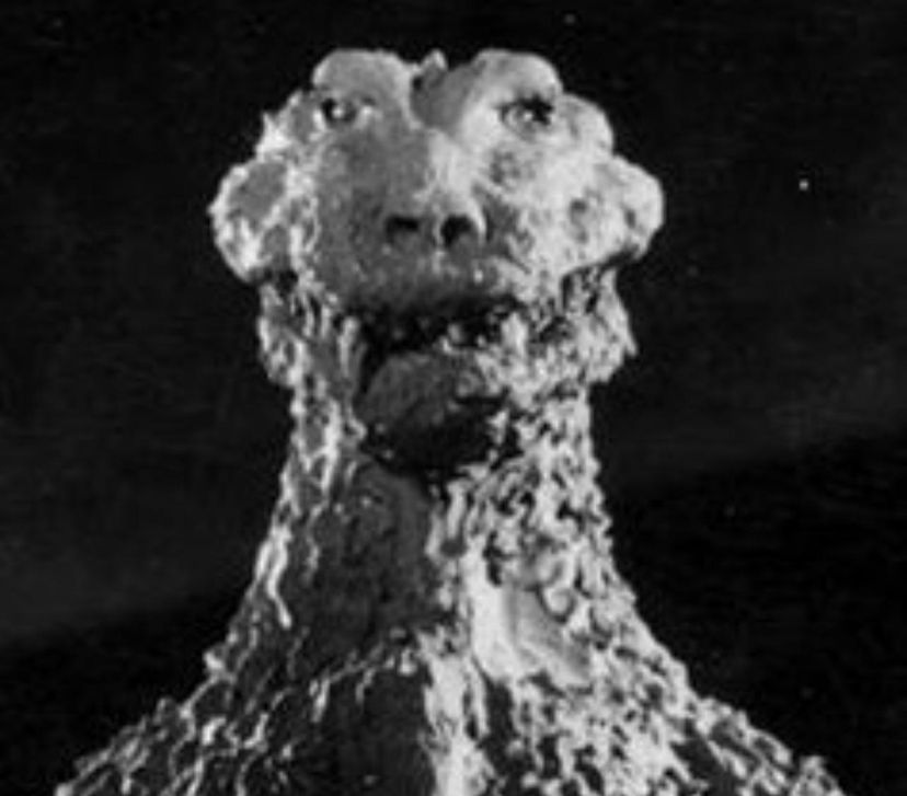 A weird Godzilla suite design that reminded me of the baby from Eraser Head by David Lynch. I don't know what movie this suit is from. He kinda looks like a mushroom cloud lizard guy. 
