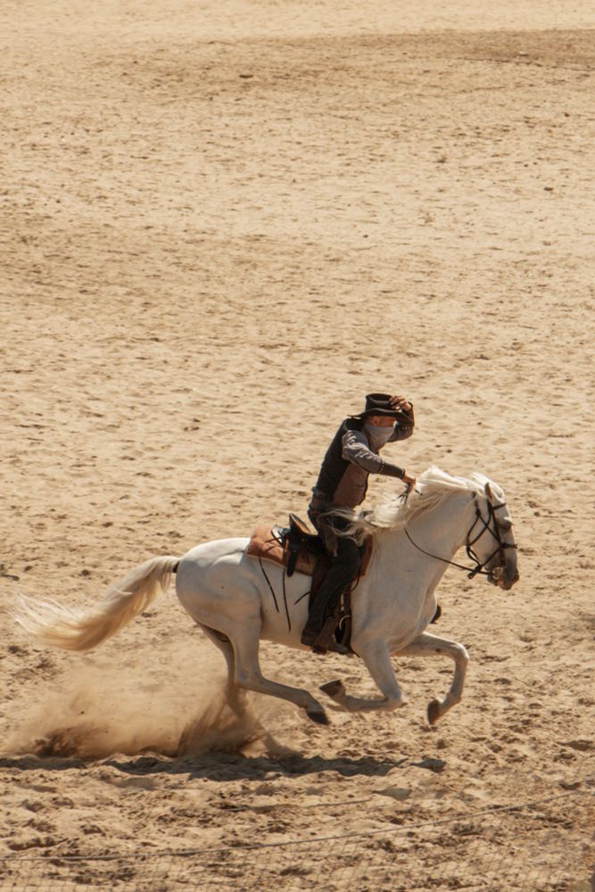 Photo d'un cheval blanc en plein galop avec un acteur cascadeur déguisé en bandit du Far West dessus. Derrière, rien que du sable.