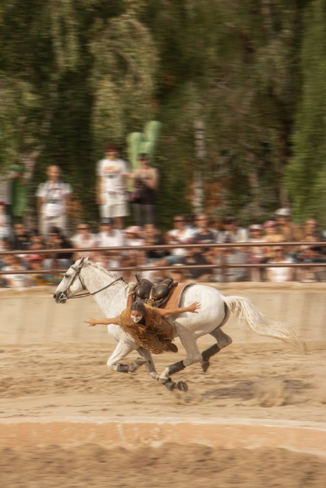 La même cavalière, cette fois-ci suspendue face au sol, bras étendus de part et d'autre de son corps, tête relevée. Le cheval est lancé en plein galop sur la piste. Derrière on distingue la foule venue voir le spectacle.