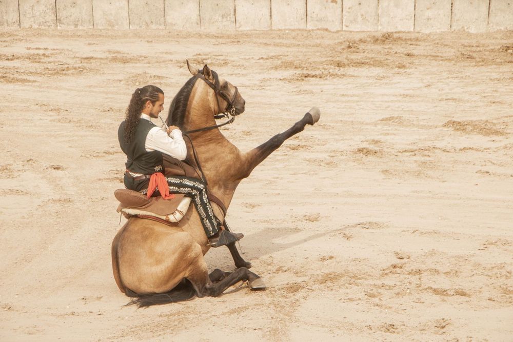 Photo d'un cheval avec son cavalier sur le dos. Le cheval est assis sur ses pattes arrières et tend la patte avant droite comme si c'était un salut nazi.
