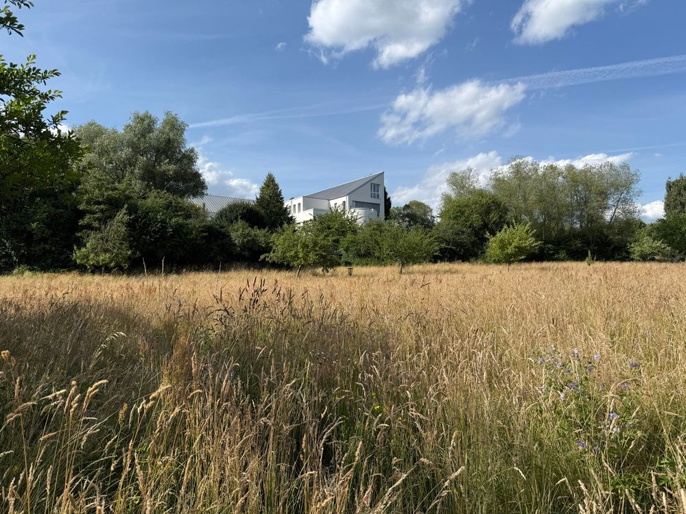 Witten/Herdecke University