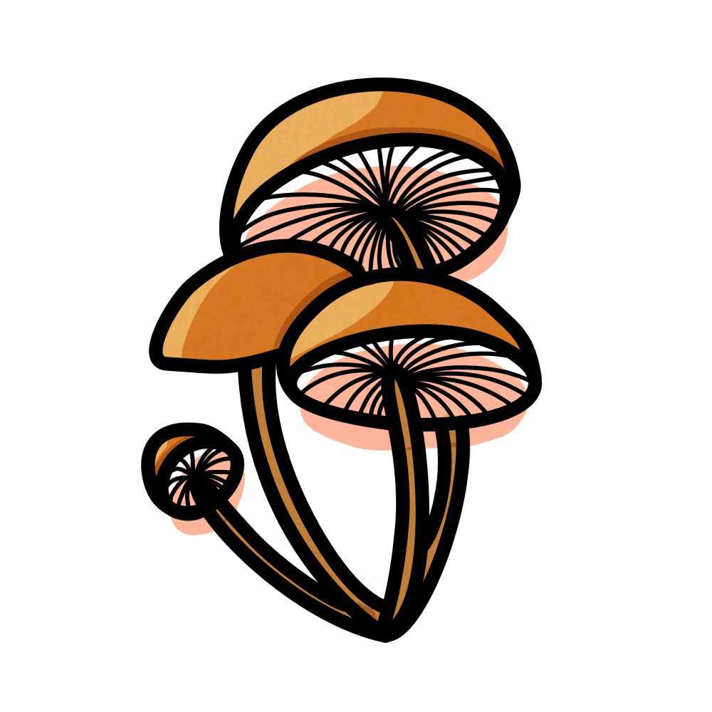 a drawing of three brown mushrooms