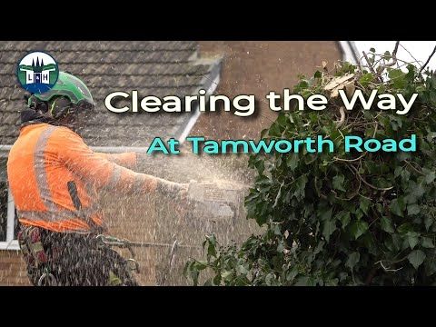 Clearing the Way