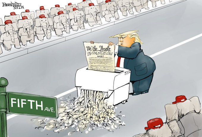 Trump shredding the constitution in the middle of fifth avenue, MAGA silently watches on the sidelines.