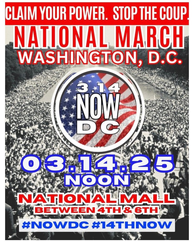 A large crowd gathers at the National Mall in Washington, D.C., promoting a national march on March 14, 2025, with flags displayed.