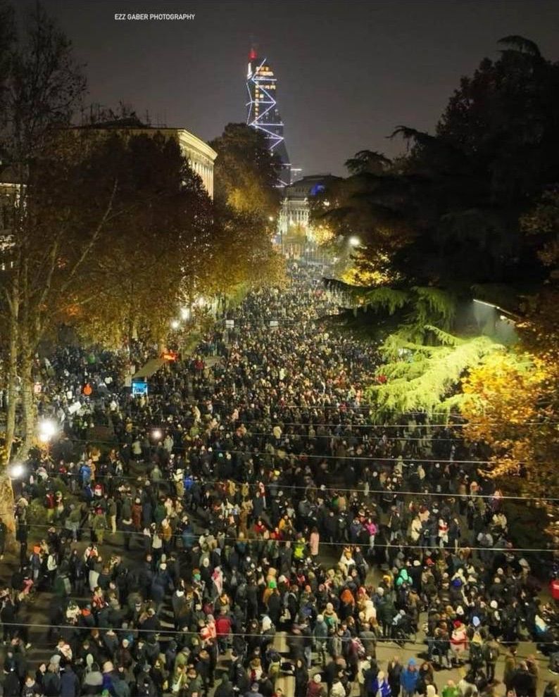 Georgia protest