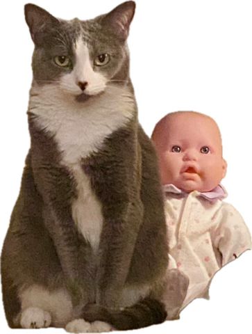 Cat with baby 